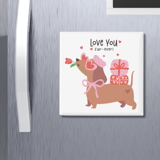 愛あなた毛皮を超える可愛いダッフランスのシュント犬 マグネット