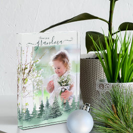 愛おばあちゃん冬の森のオーバーレイ フォトブロック