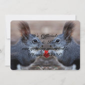 愛かわいい結婚式招待状のリス 招待状 (正面)