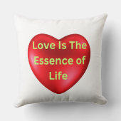 愛が人生の本質Tシャツ クッション (裏面)