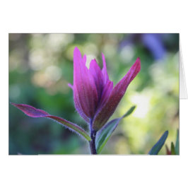 愛が待っているところ