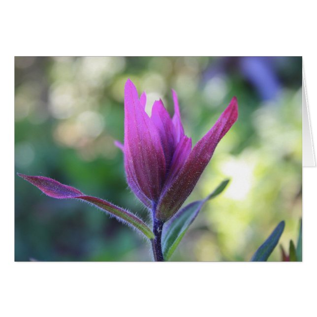 愛が待っているところ (正面横)