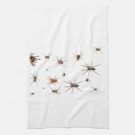 愛くも! キッチンタオル (縦)