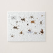 愛くも! ジグソーパズル (横)