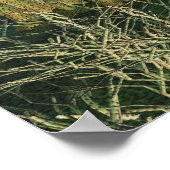 愛された ポスター (角)