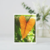 "愛されます" ポストカード (スタンド正面)