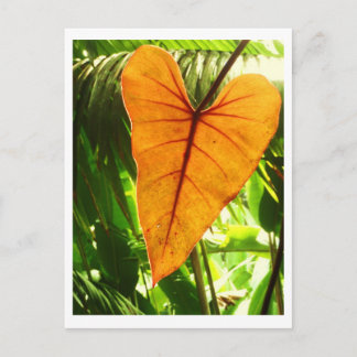 "愛されます" ポストカード