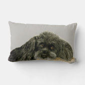 愛されるプードル ランバークッション (裏面)