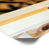 愛されるレムルス ポスター (コーナー)