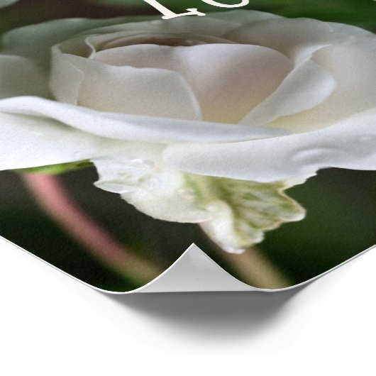 愛される白いバラの抽象芸術 感動的 ポスター (角)