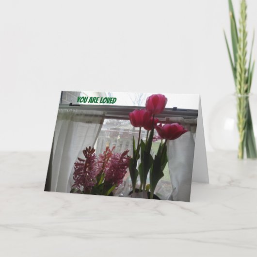 愛され愛され祈ている 案内状 (正面)