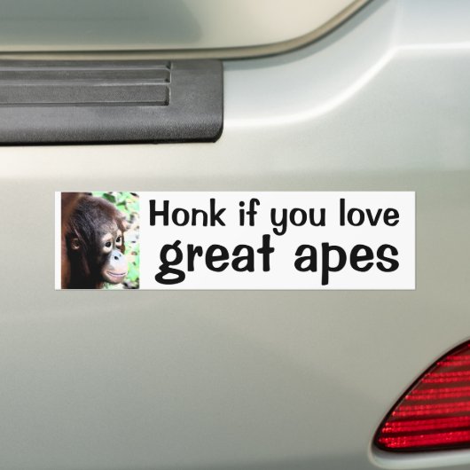 愛したら警笛を鳴らして下さい バンパーステッカー (車上)