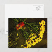 愛してない！ ポストカード (正面/裏面)