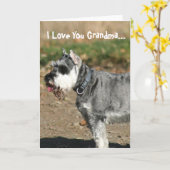 愛してるおばあちゃんシュナウザー犬グリーティングカード カード (黄色い花)
