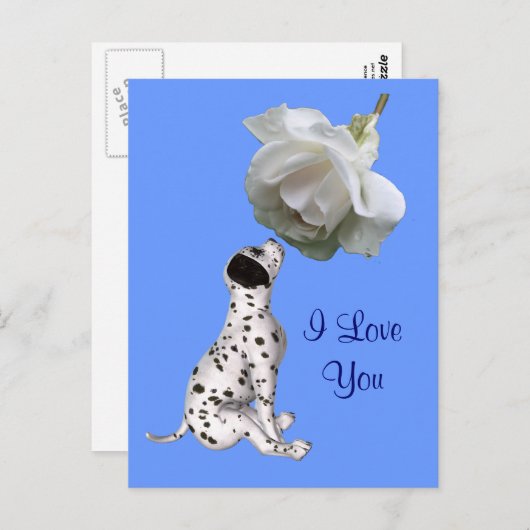 愛してるよ子犬バラ花写真はがき ポストカード (正面/裏面)