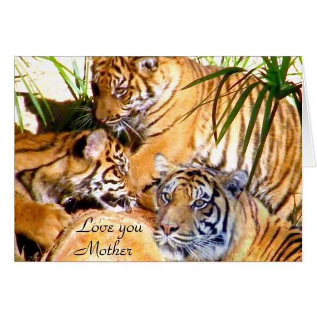 愛してるよ、母さん_ (正面横)