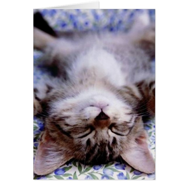 愛してる写真カード (正面)