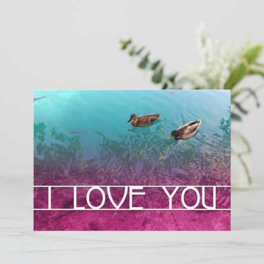 愛してる池 招待状 (スタンド正面)