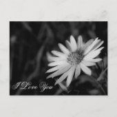 愛してる ポストカード (正面)