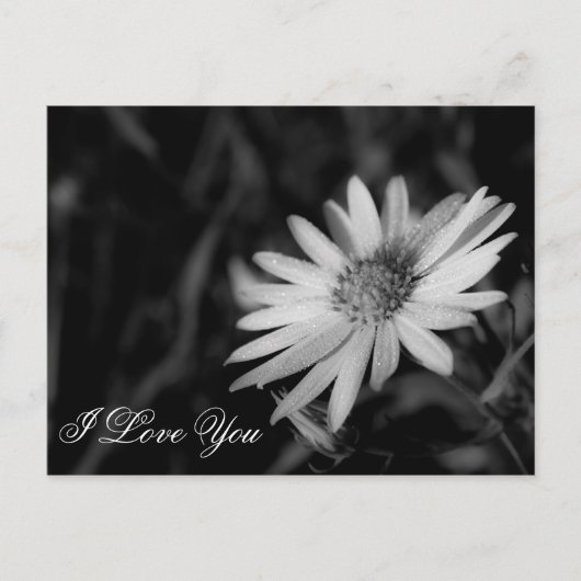 愛してる ポストカード (正面)