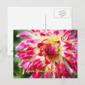 愛してる ポストカード (正面/裏面)