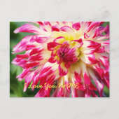 愛してる ポストカード (正面)