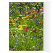 愛して (内側 (左))