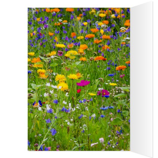 愛して (内側 (左))