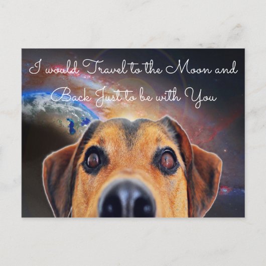 愛して ポストカード (正面)