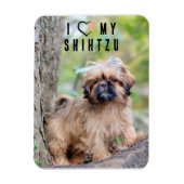 愛しのシーツゥー写真マグネット かわいい仔犬 マグネット (縦)