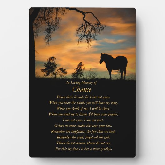 愛しウマ科のた思い出に残された馬の追悼文 フォトプラーク (正面)
