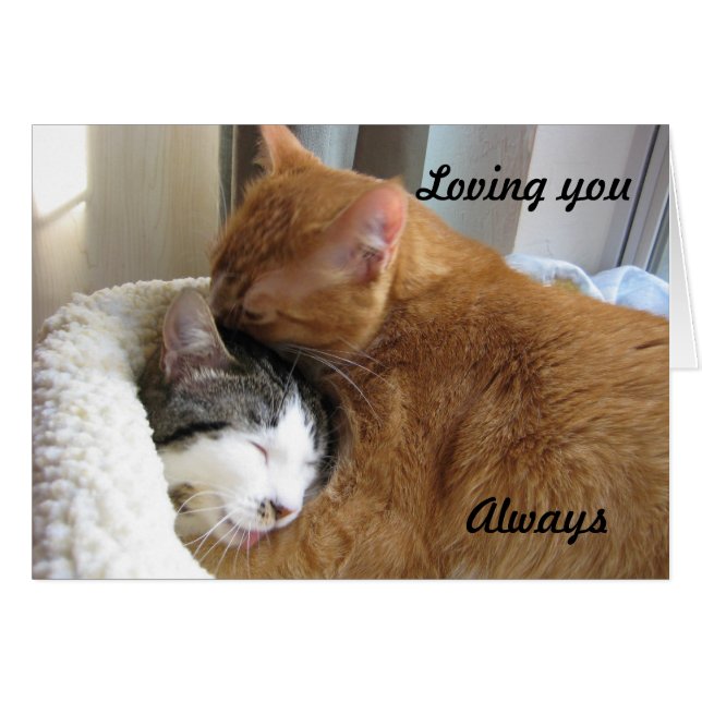 愛すること、常に036 (正面横)