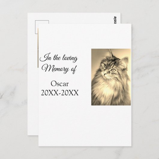 愛するペットの名前を追加した追悼記念品の葬儀用写真 ポストカード (正面/裏面)