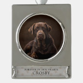 愛するペットの永遠のメモリアル シルバープレートバナーオーナメント (正面)