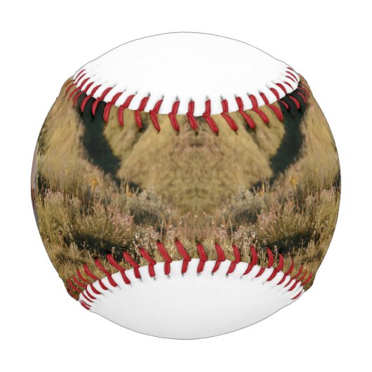 愛するママ母ハッピー母の日フォトコラージュ 野球ボール (正面)