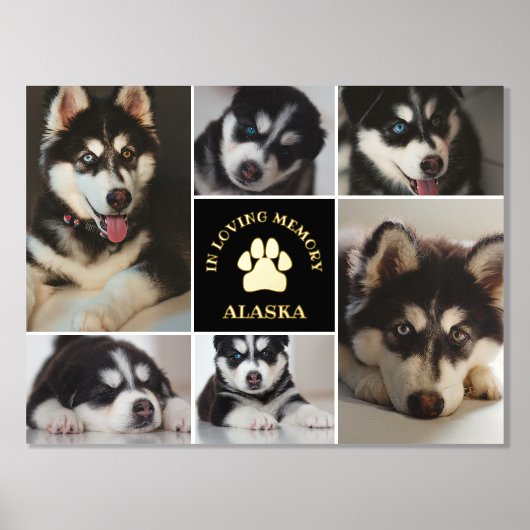 愛するメモリでポープリントペット黒い写真コラージュ 箔ポスター (正面)