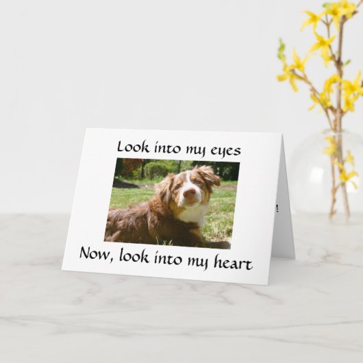 愛する与え犬の恋しく思詳細"ユー" カード (黄色い花)