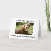 愛する与え犬の恋しく思詳細"ユー" カード (正面)