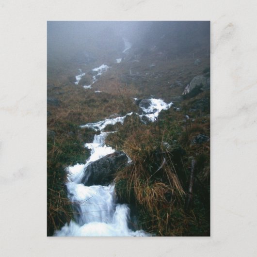 愛する人 ポストカード (正面)