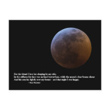 『愛する友のために』ウォルト・ホイットマンの愛の詩