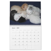 愛する可愛い子猫との平和愛の宿命 カレンダー (3月 2027)