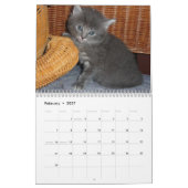 愛する可愛い子猫との平和愛の宿命 カレンダー (2月 2027)