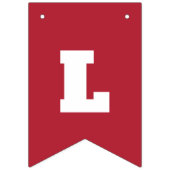 愛する土地 – 7月4日の愛国心 バンティングフラッグ (第1の旗)