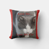 愛する猫 クッション (正面)