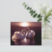 愛する白鳥が形をつくるハート ポストカード (スタンド正面)