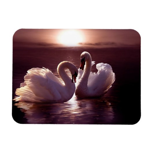 愛する白鳥が形をつくるハート マグネット (横)