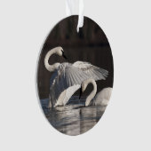 愛する白鳥 オーナメント (正面)