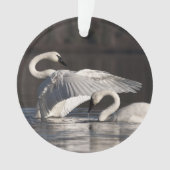 愛する白鳥 オーナメント (正面)