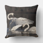 愛する白鳥 クッション (裏面)
