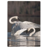 愛する白鳥 クリップボード (裏面)